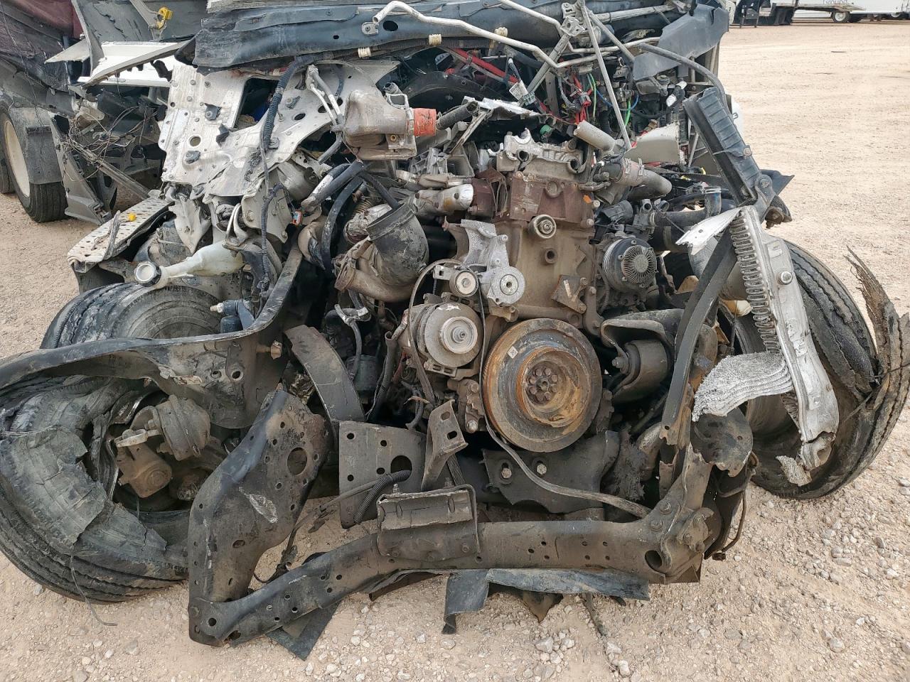 2019 Freightliner Cascadia 125 Semi Truck VIN: 1FUJGLDR5KLKD8376 Lot: 84298965