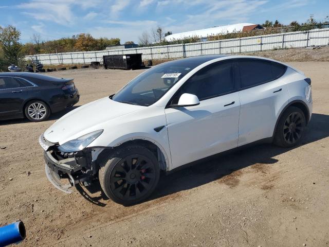 TESLA MODEL Y 2021