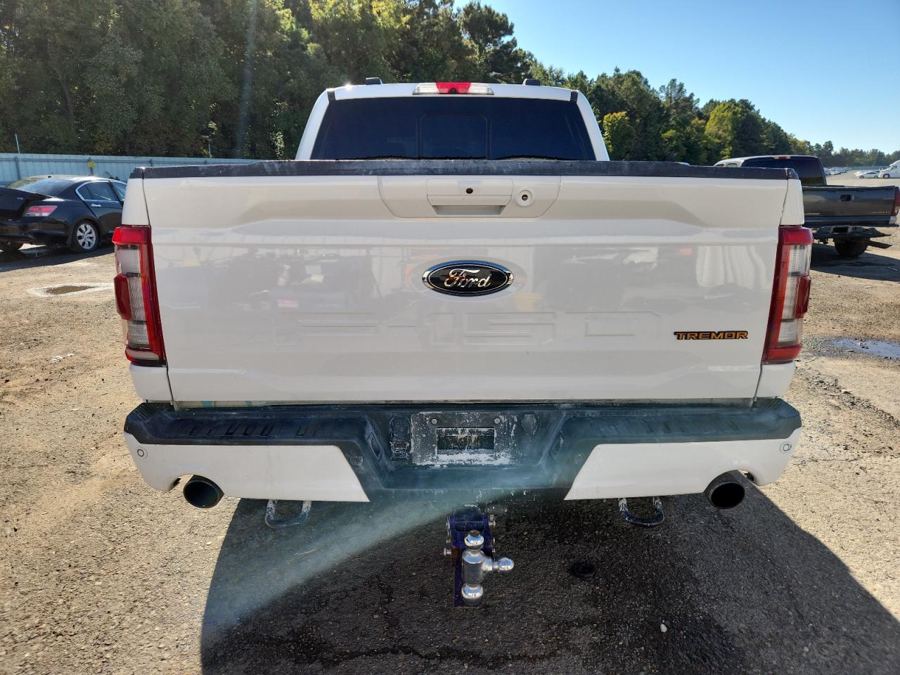 2023 Ford F150 Supercrew VIN: 1FTEW1E81PFA47831 Lot: 87442275