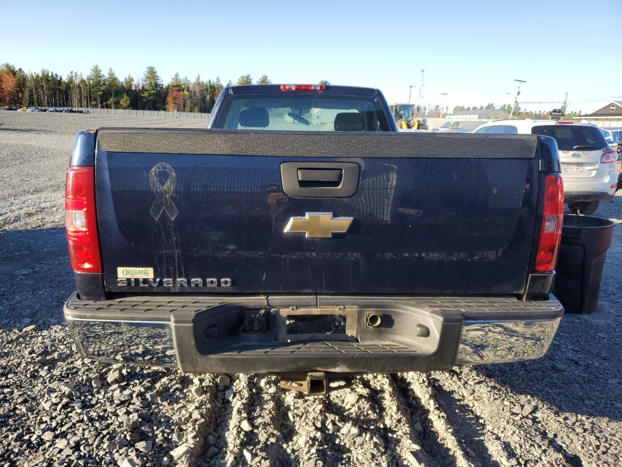 2010 Chevrolet Silverado C1500 VIN: 1GCPCPEX9AZ131638 Lot: 85831435