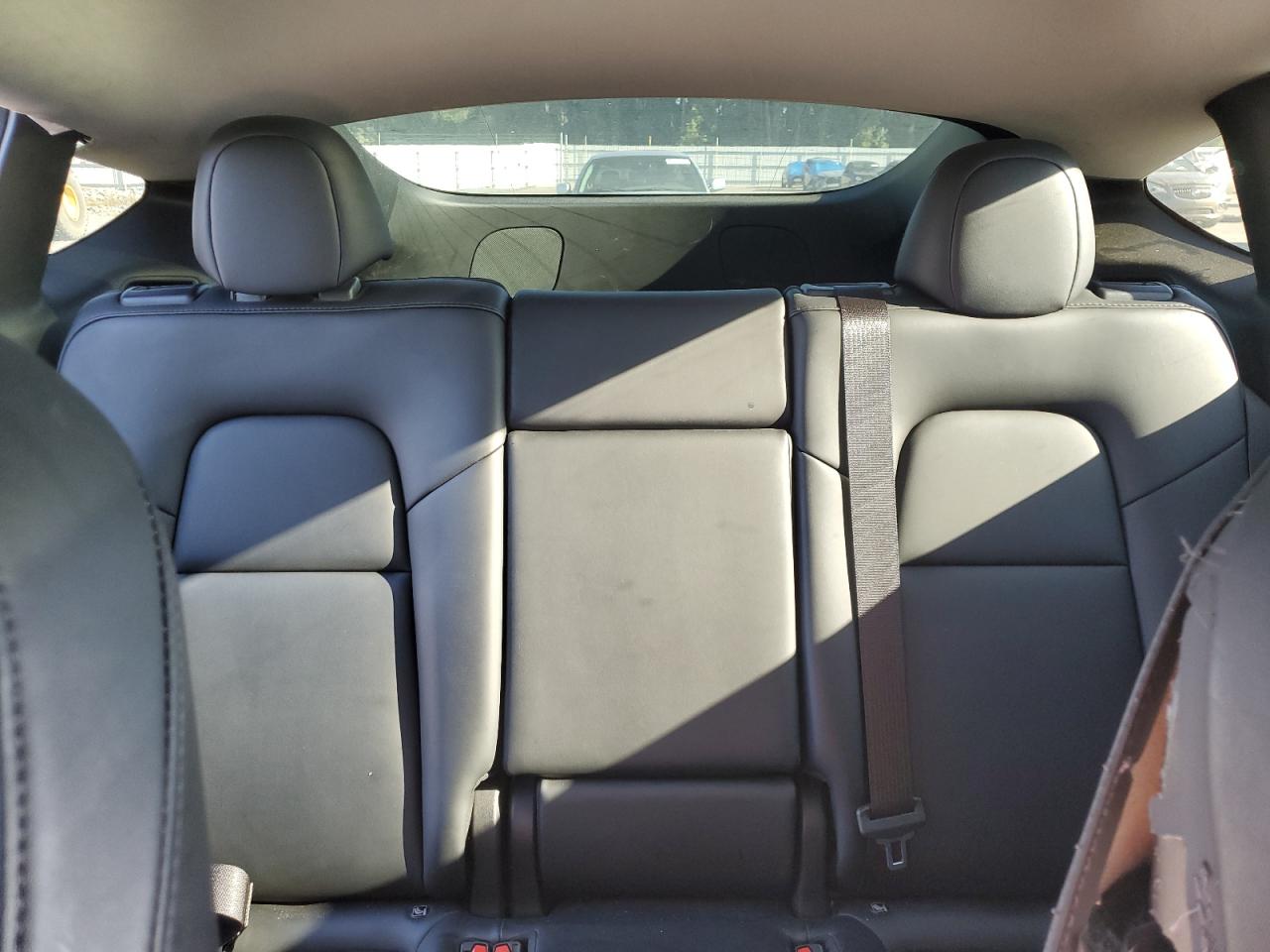 2023 Tesla Model Y VIN: 7SAYGDEEXPA109331 Lot: 81284435