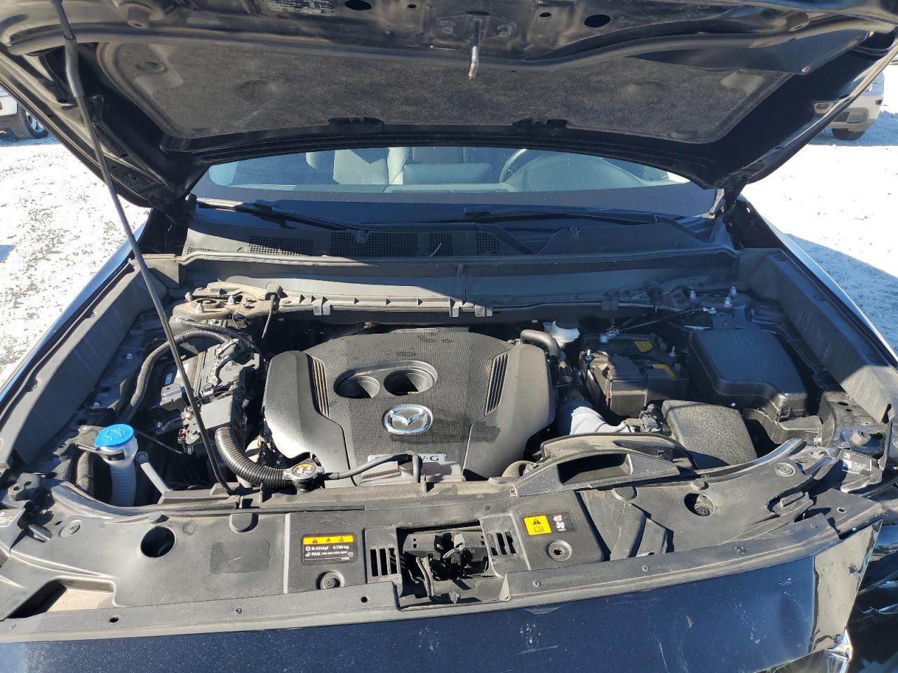 2023 Mazda Cx-9 Touring Plus VIN: JM3TCBAYXP0654106 Lot: 86521065