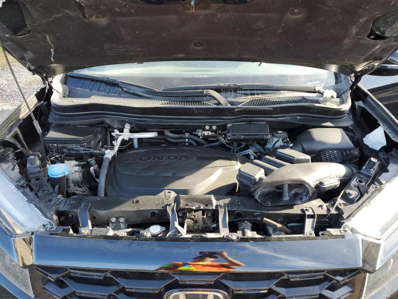 2023 Honda Passport Elite VIN: 5FNYF8H03PB017374 Lot: 85138315