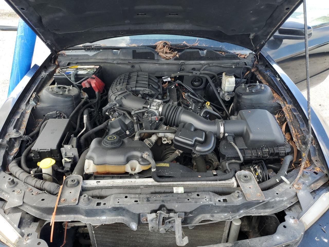 2012 Ford Mustang VIN: 1ZVBP8AM1C5258391 Lot: 82365145