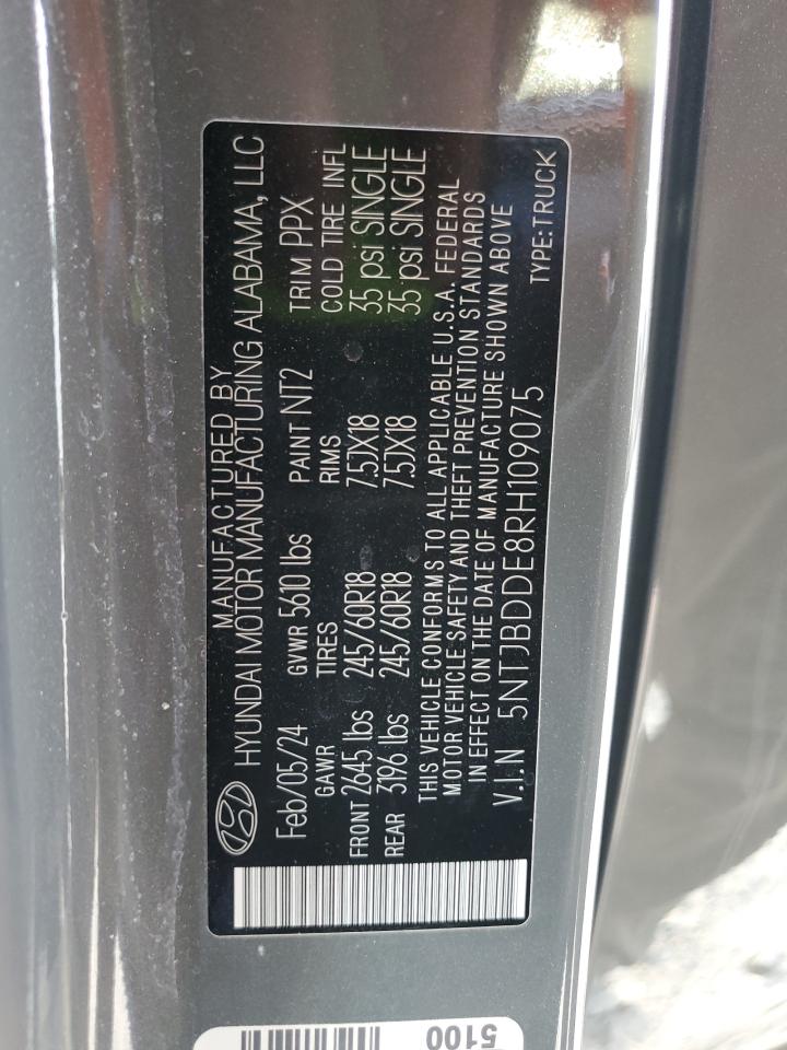 2024 Hyundai Santa Cruz Sel VIN: 5NTJBDDE8RH109075 Lot: 89514845