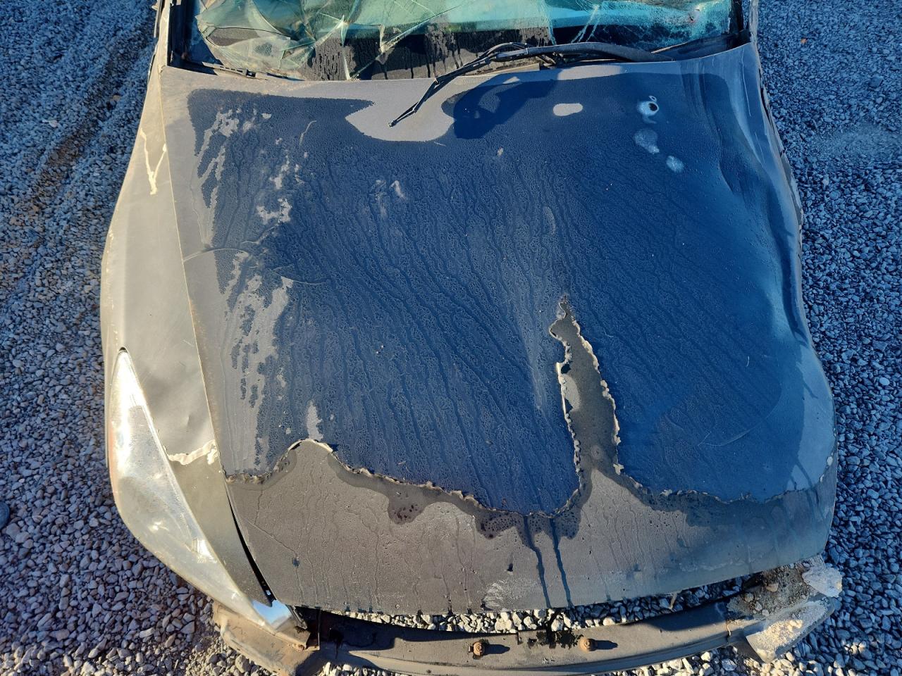 2004 Honda Accord Ex VIN: 1HGCM56834A145501 Lot: 86845455