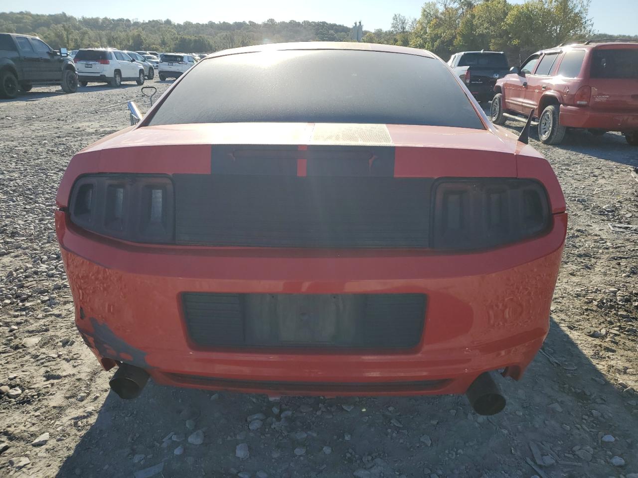 2013 Ford Mustang VIN: 1ZVBP8AM2D5270003 Lot: 82563415