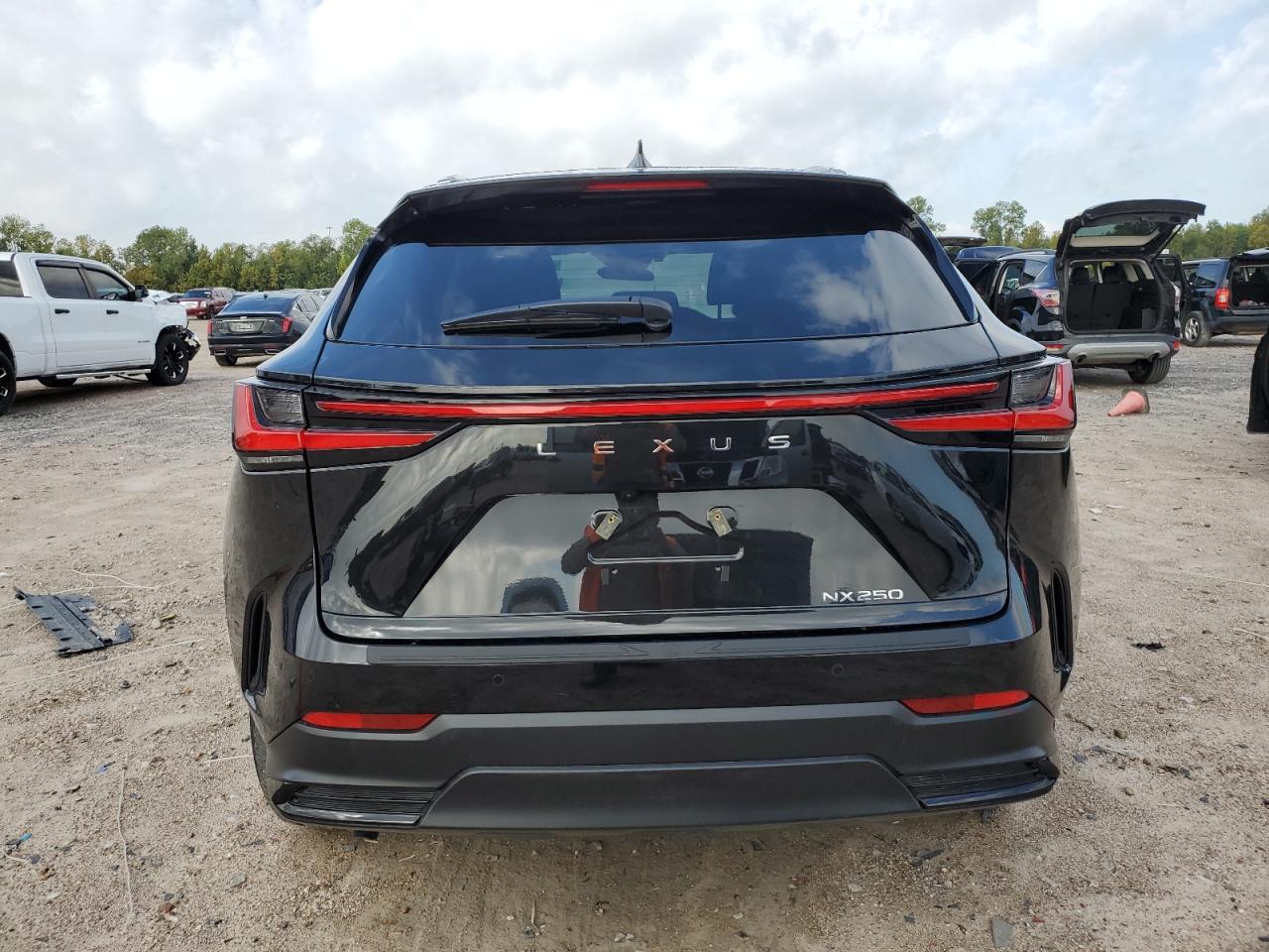 2025 Lexus Nx 250 Premium VIN: 2T2GDCAZ7SC031820 Lot: 90239265