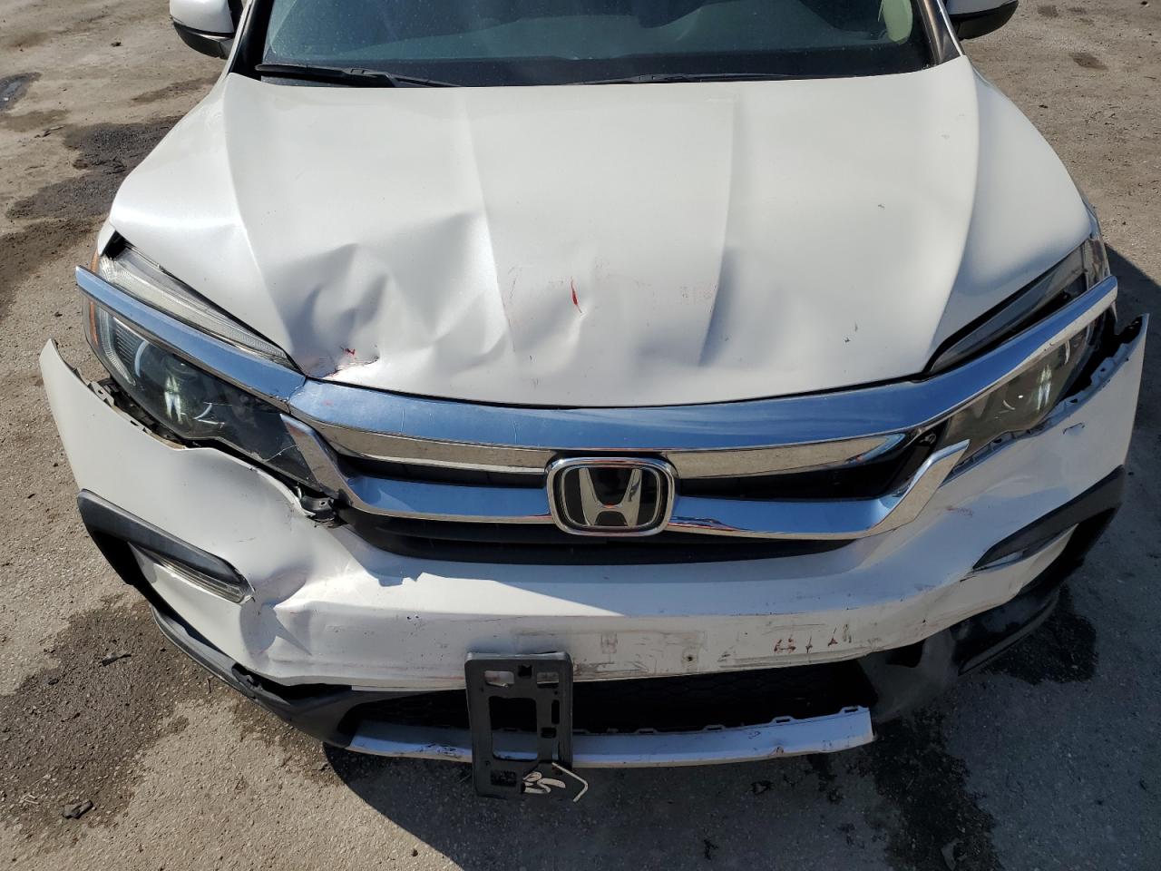 2019 Honda Pilot Exl VIN: 5FNYF5H52KB040230 Lot: 84796165