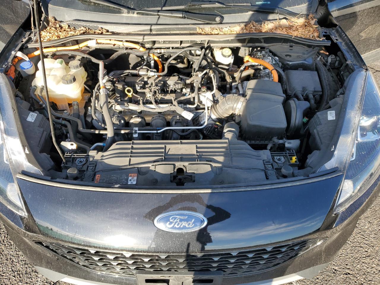 2020 Ford Escape Se Sport VIN: 1FMCU9BZ5LUB97841 Lot: 84995935