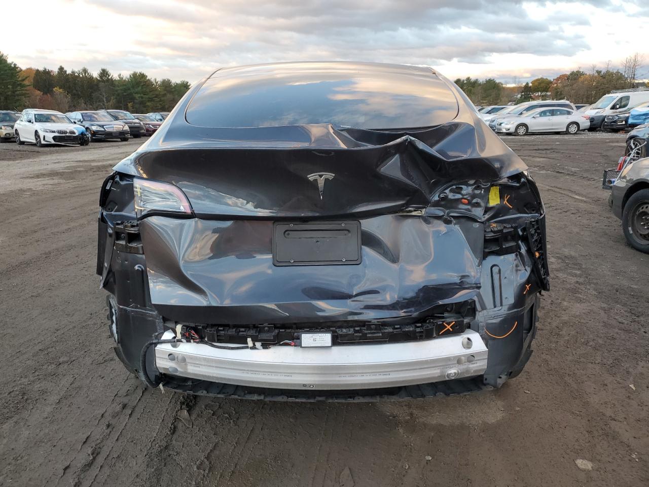 2025 Tesla Model Y VIN: 7SAYGDED3SF264869 Lot: 90709965