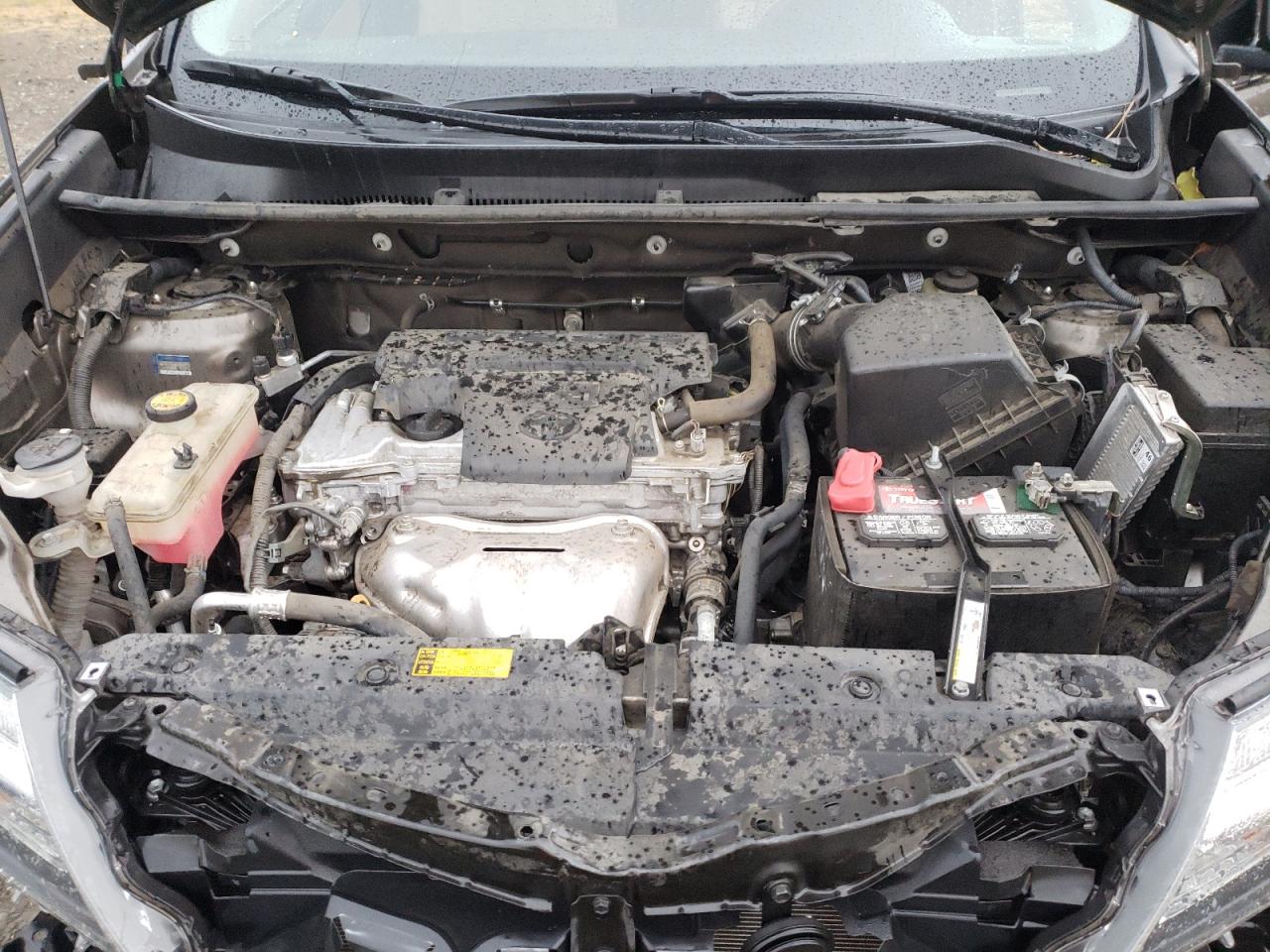 2015 Toyota Rav4 Xle VIN: 2T3WFREV2FW211402 Lot: 82429725