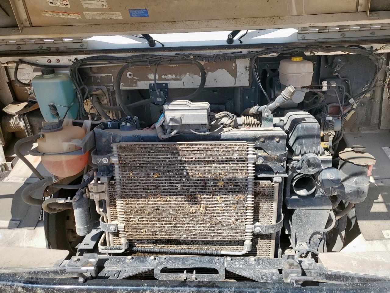 2020 Ford F59 - Delivery Truck VIN: 1F66F5KN4L0A17258 Lot: 85281375