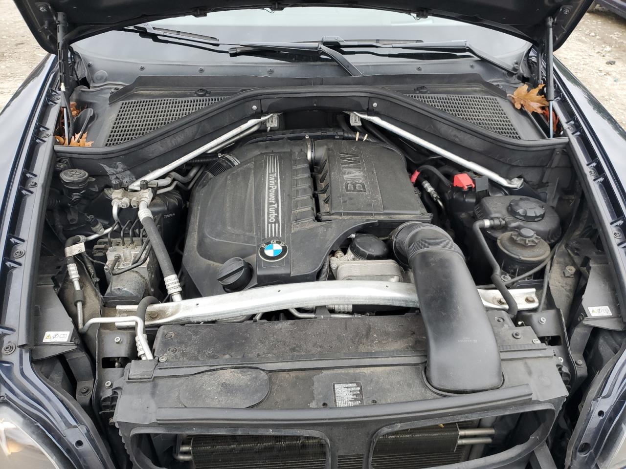 Фото: 5UXFG2C51CL780990