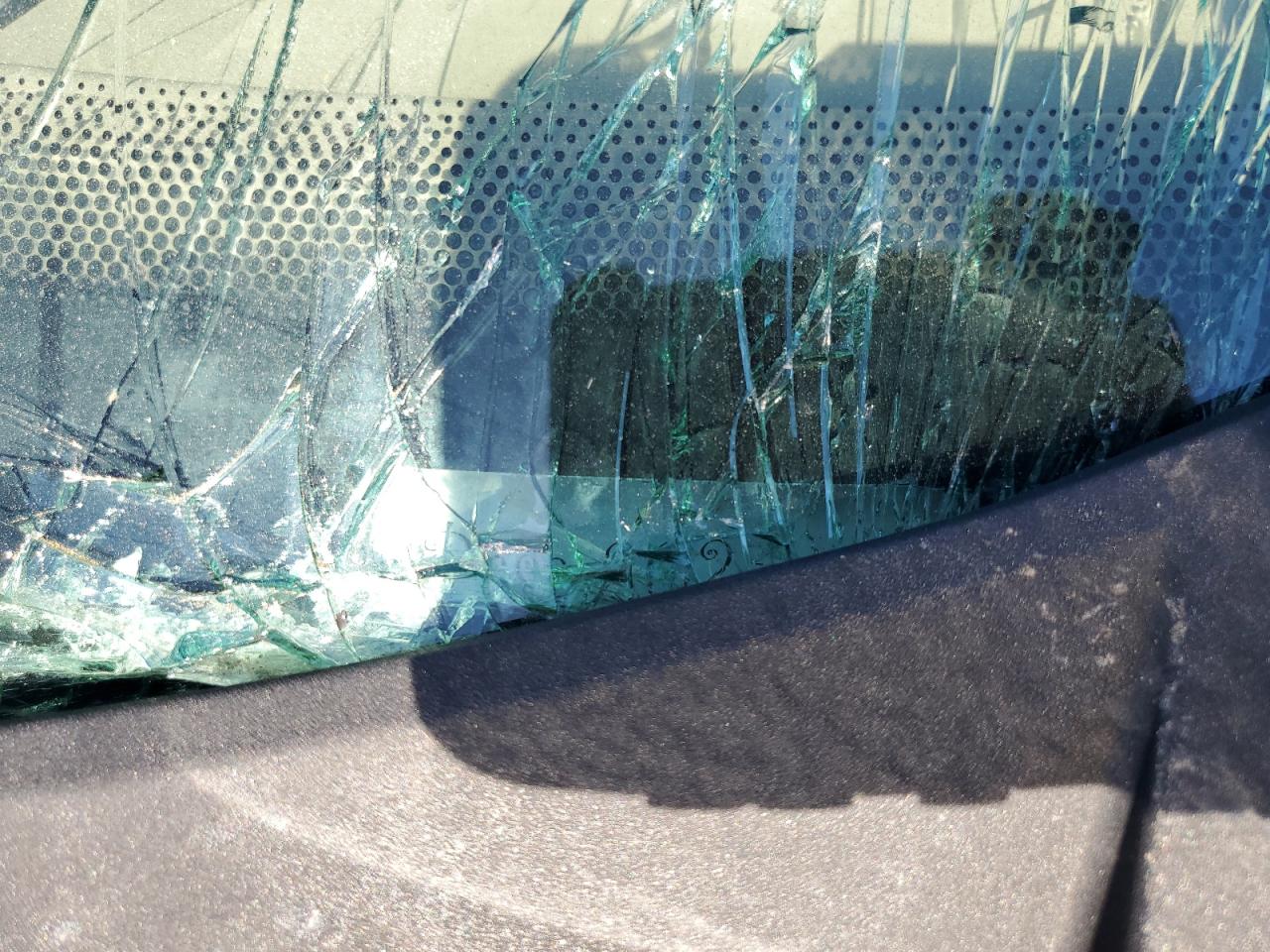 2004 Ford Expedition Eddie Bauer VIN: 1FMFU18L54LA45017 Lot: 85895755