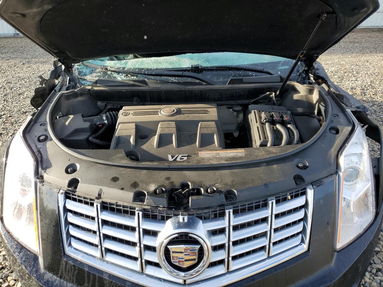 2013 Cadillac Srx Luxury Collection VIN: 3GYFNCE36DS525752 Lot: 81389005