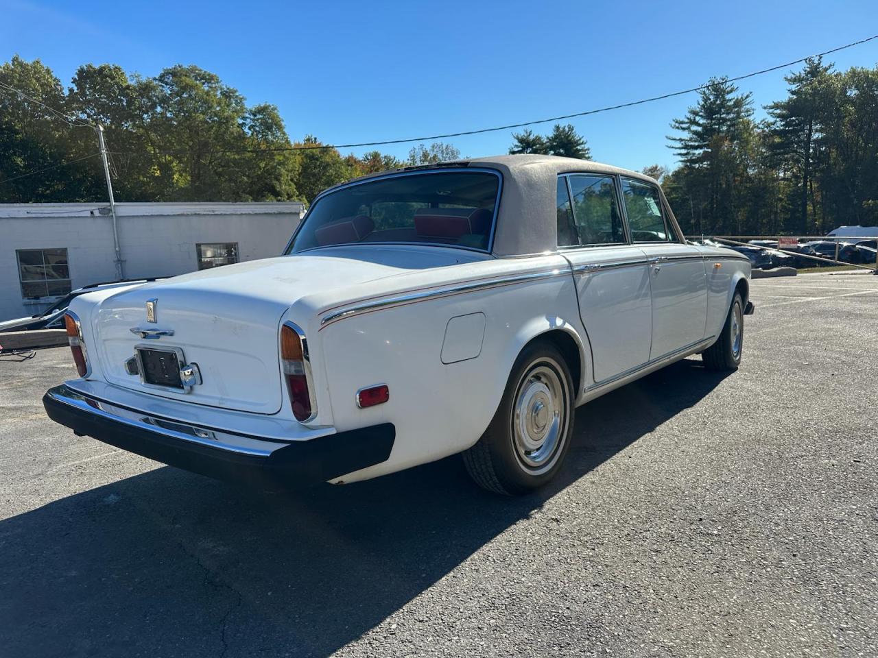 Silver Shadow Silver Shadow