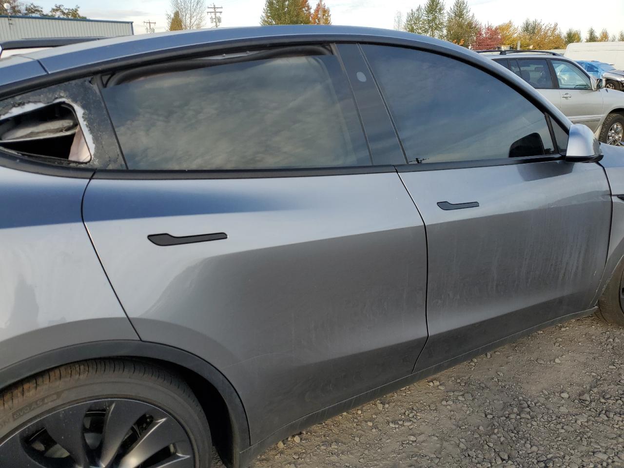 2025 Tesla Model Y VIN: 7SAYGDEFXSF307038 Lot: 87126665