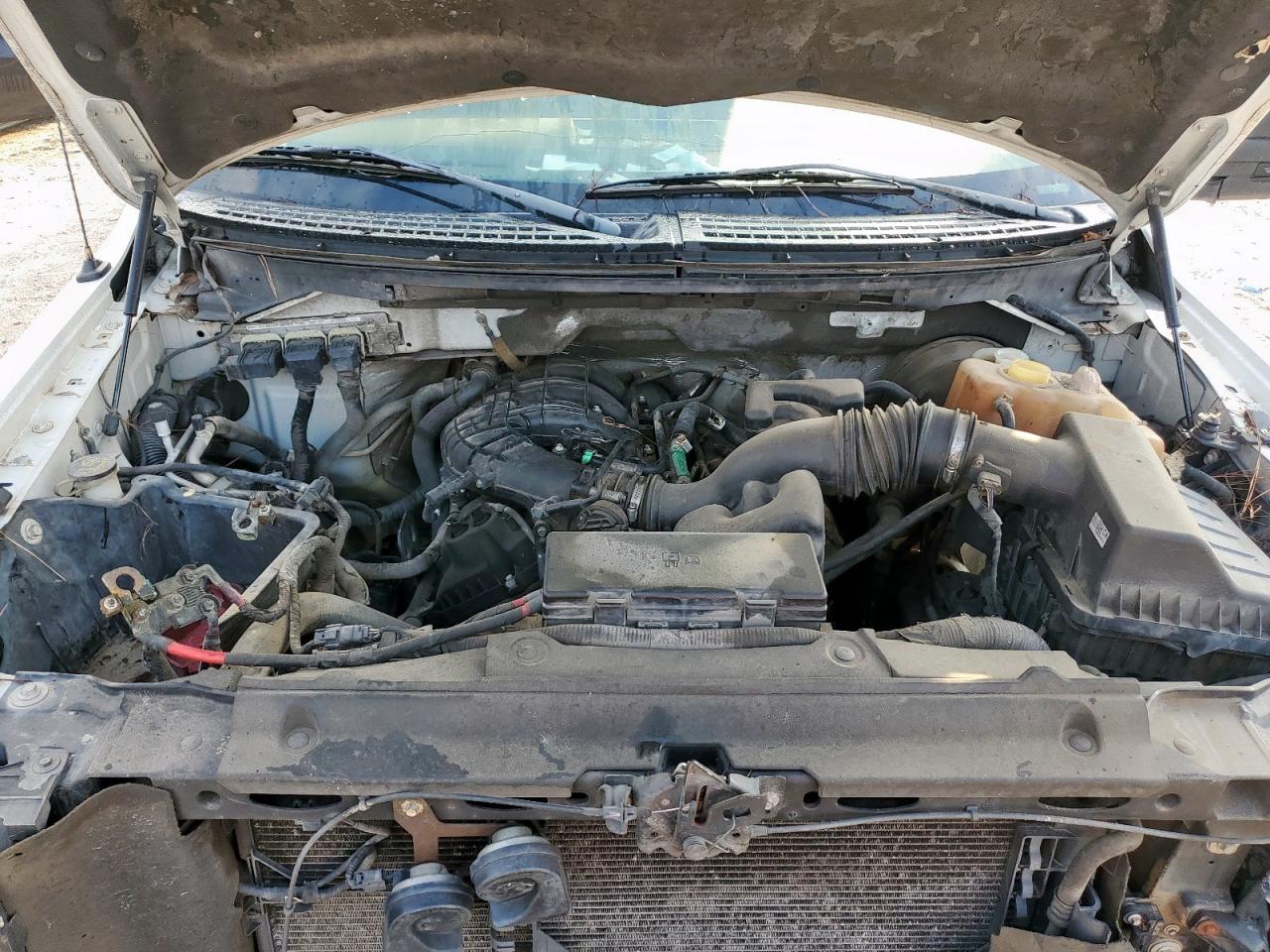 2012 Ford F150 VIN: 1FTMF1CM3CKD22516 Lot: 90014215