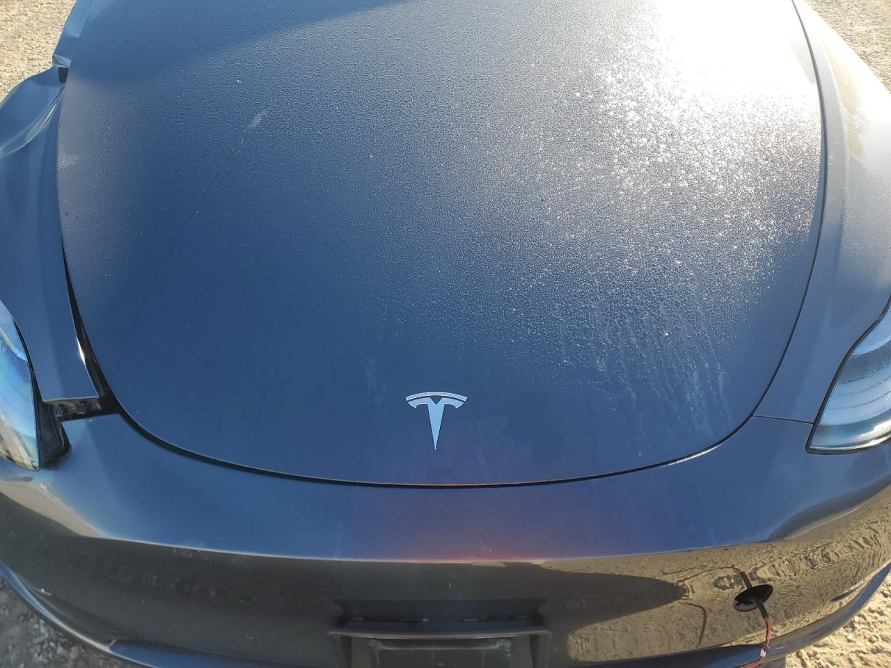 2023 Tesla Model Y VIN: LRWYGDEE5PC162559 Lot: 84933255