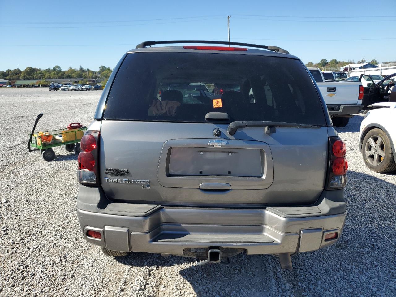 2007 Chevrolet Trailblazer Ls VIN: 1GNDT13S072186981 Lot: 87395715