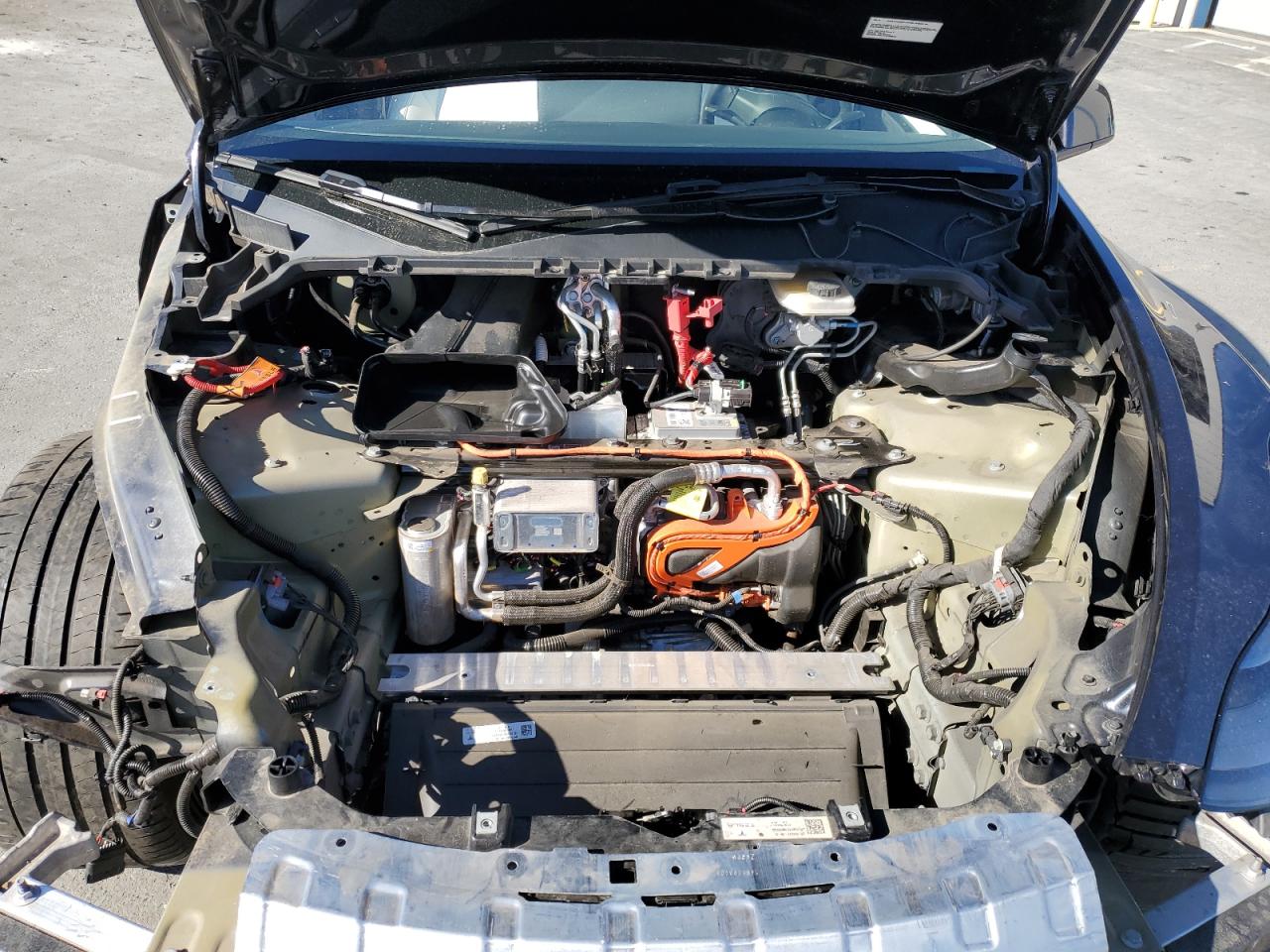 2024 Tesla Model Y VIN: 7SAYGDEF7RF064170 Lot: 90669795