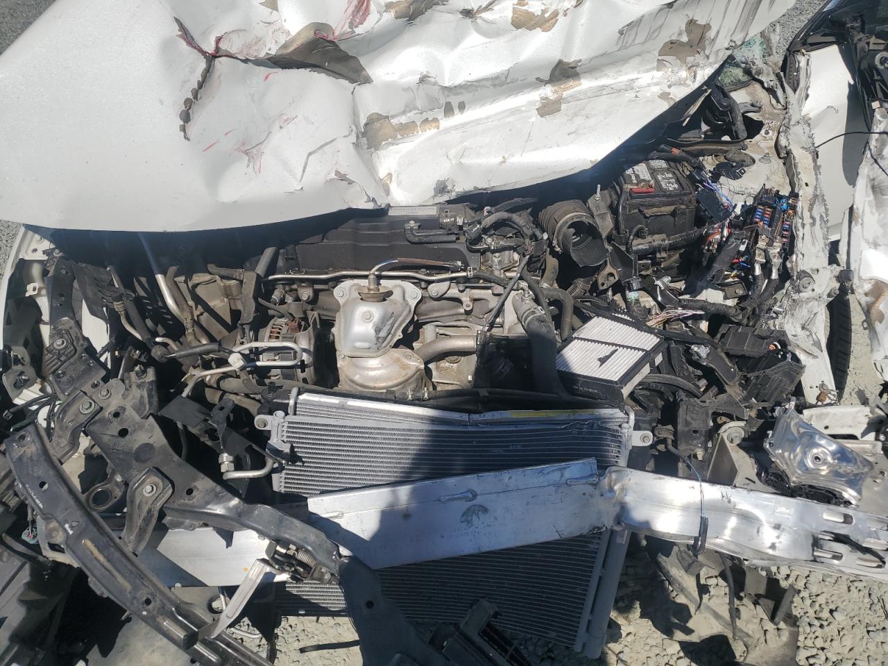 2019 Honda Civic Lx VIN: 2HGFC2F64KH562248 Lot: 82637445