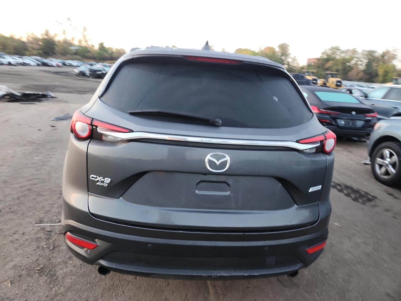 2019 Mazda Cx-9 Touring VIN: JM3TCBCY1K0335294 Lot: 87220995