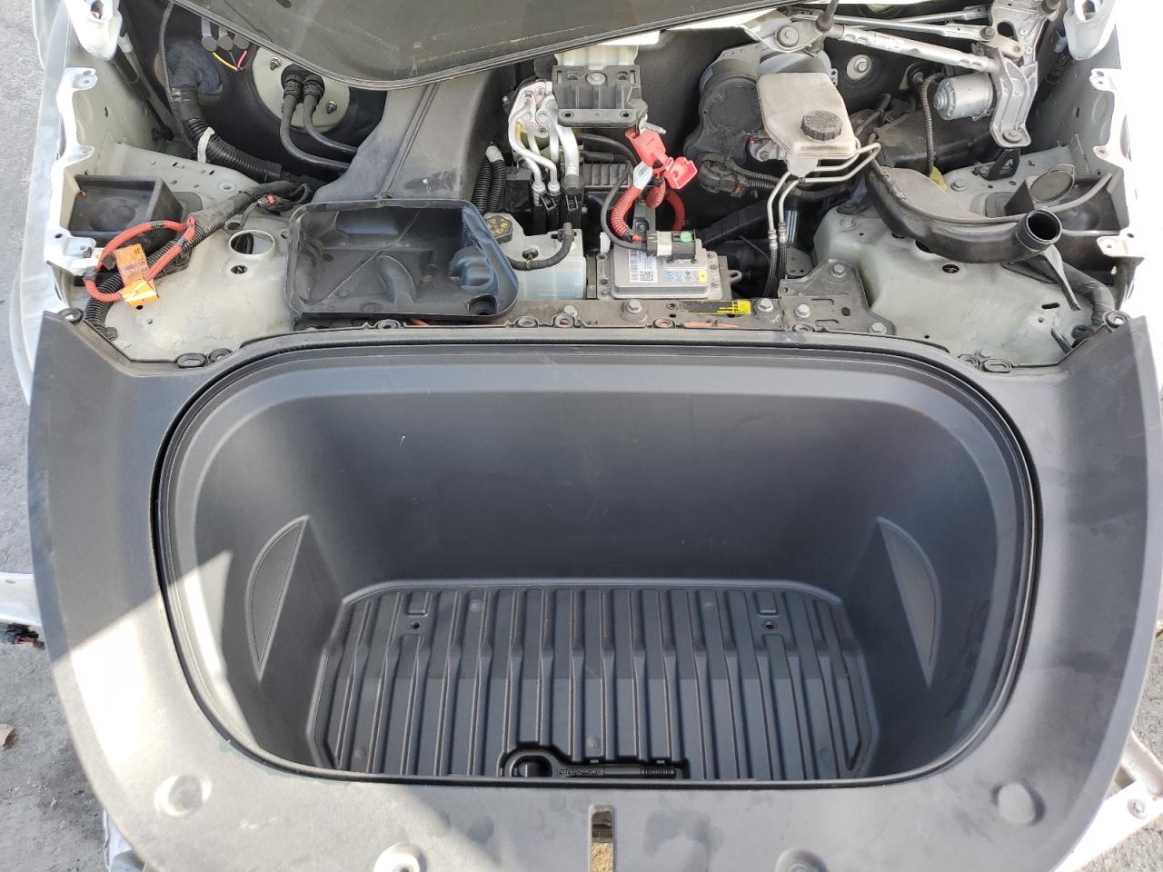 2022 Tesla Model Y VIN: 7SAYGDEE0NF377420 Lot: 81856635