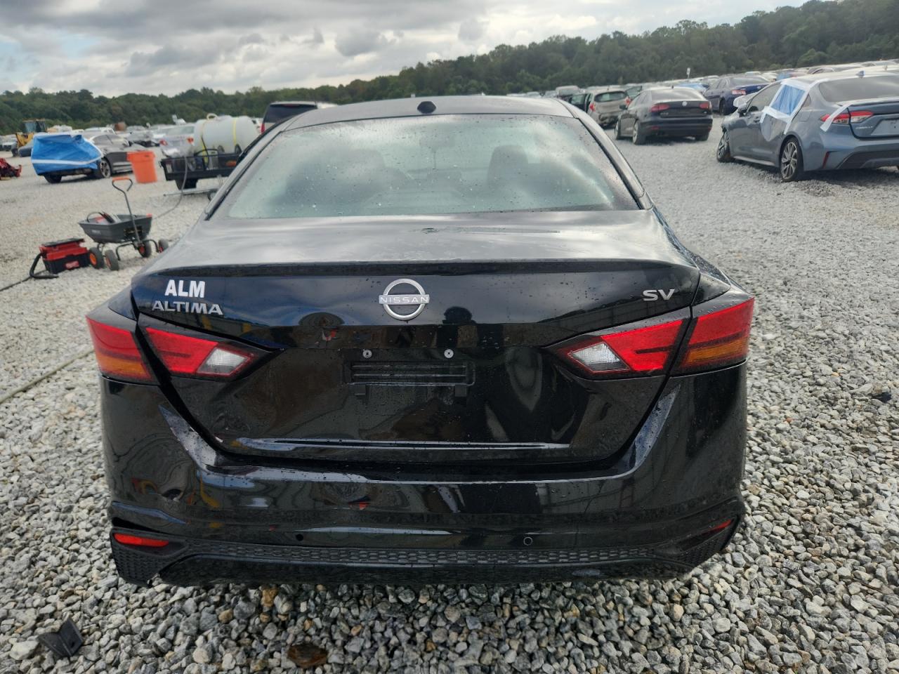 2023 Nissan Altima Sv VIN: 1N4BL4DV5PN324884 Lot: 85705165