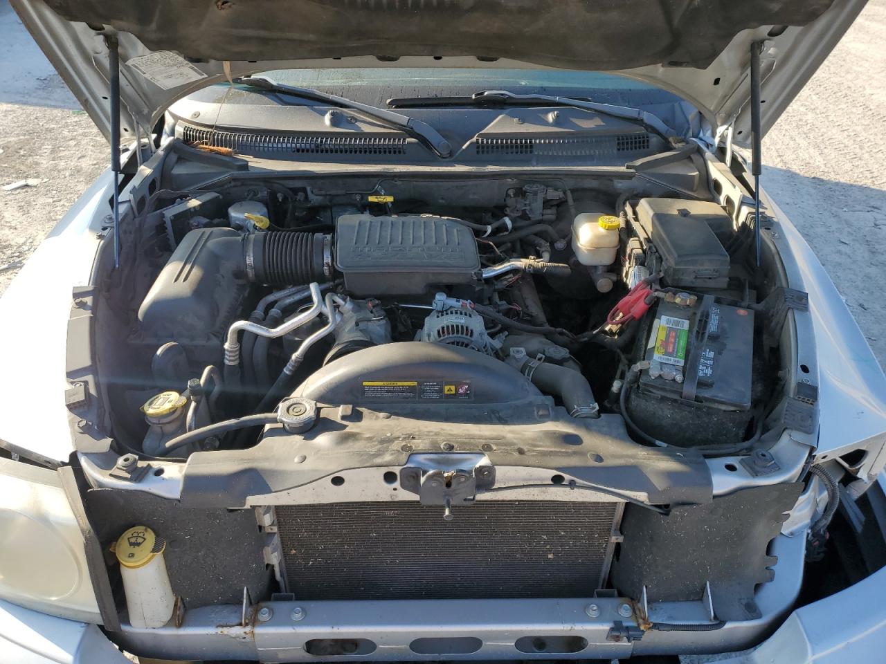 2005 Dodge Dakota Slt VIN: 1D7HW42N35S331173 Lot: 81939345