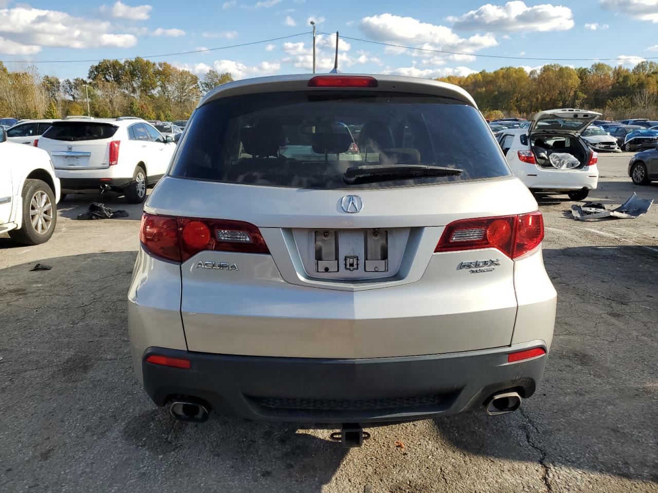 2010 Acura Rdx Technology VIN: 5J8TB2H54AA004617 Lot: 91103295