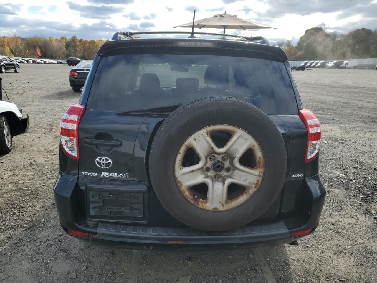 2010 Toyota Rav4 VIN: 2T3BF4DV5AW057991 Lot: 89637575