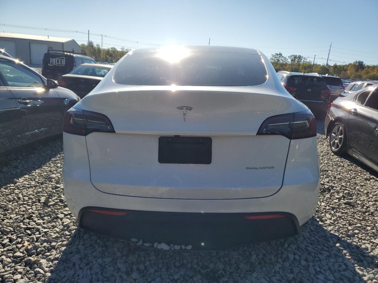 2023 Tesla Model Y VIN: 7SAYGDEE1PF883051 Lot: 82531425