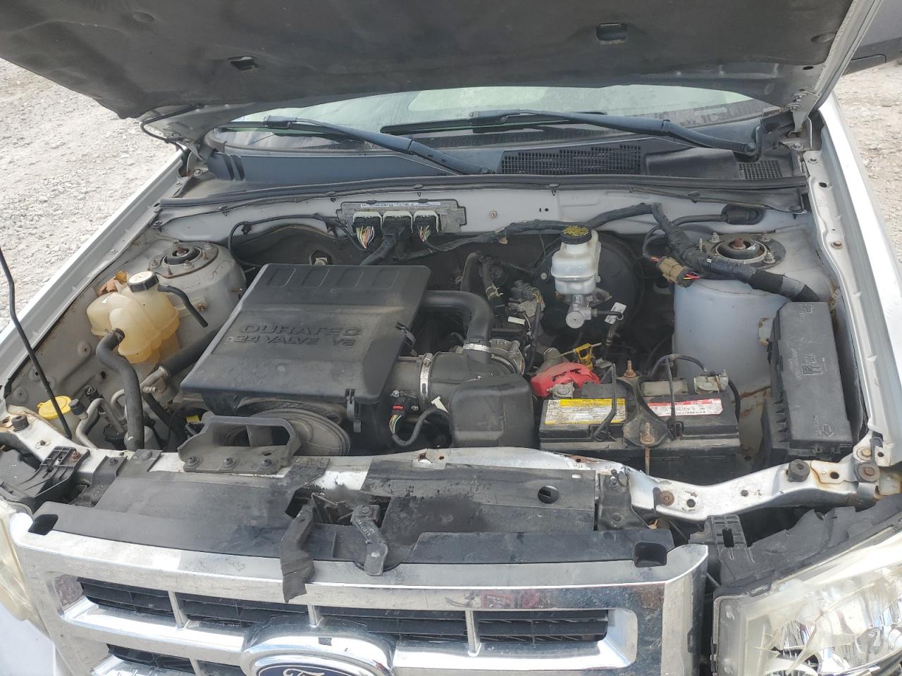 2009 Ford Escape Xlt VIN: 1FMCU93G19KB96333 Lot: 85520275