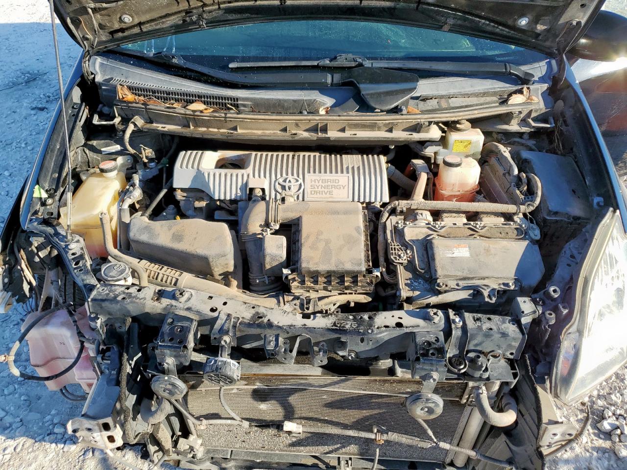 2015 Toyota Prius VIN: JTDKN3DU1F1881562 Lot: 85902195