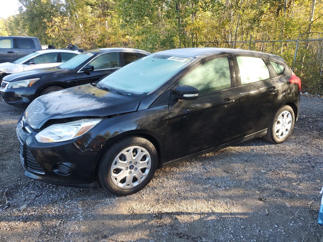 2013 Ford Focus Se VIN: 1FADP3K20DL273401 Lot: 85873895