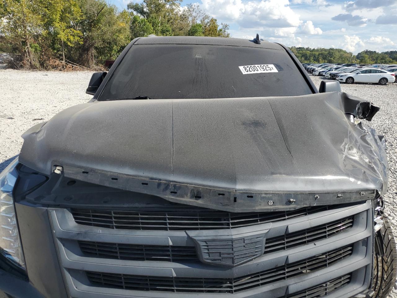 2016 Cadillac Escalade Premium VIN: 1GYS4CKJXGR135569 Lot: 82001925