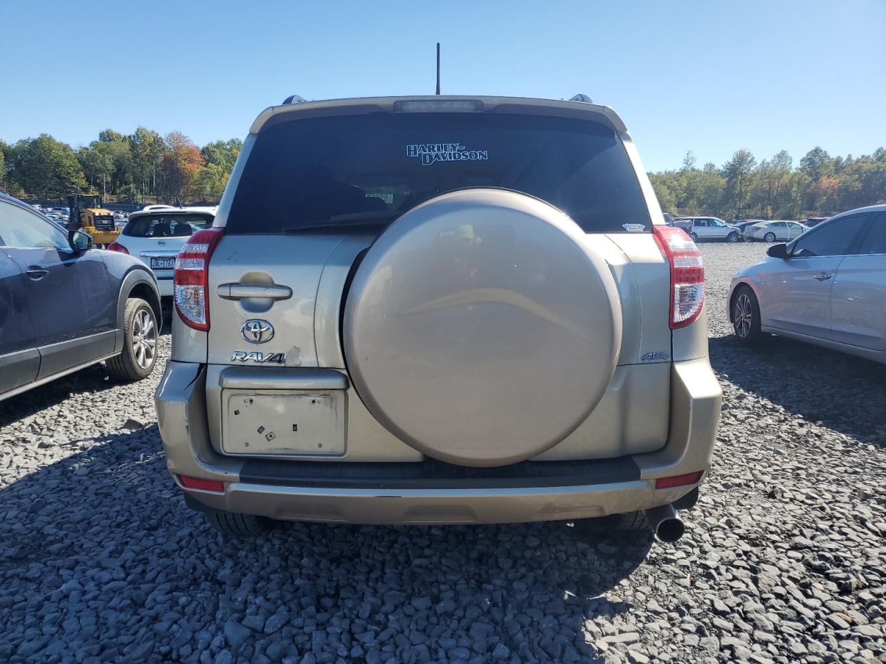 2011 Toyota Rav4 VIN: 2T3BF4DV1BW144353 Lot: 85660105