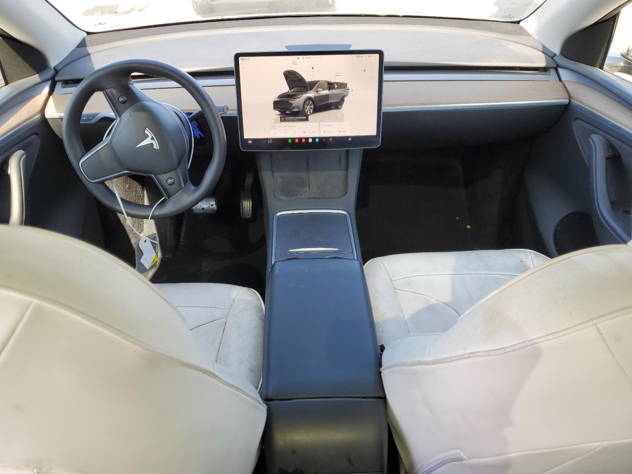 2023 Tesla Model Y VIN: 7SAYGDEEXPA119664 Lot: 81953525