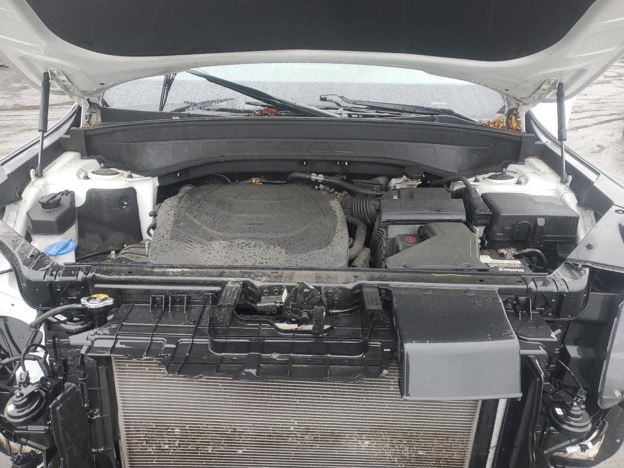 2020 Kia Telluride Lx VIN: 5XYP2DHC2LG028069 Lot: 82387345