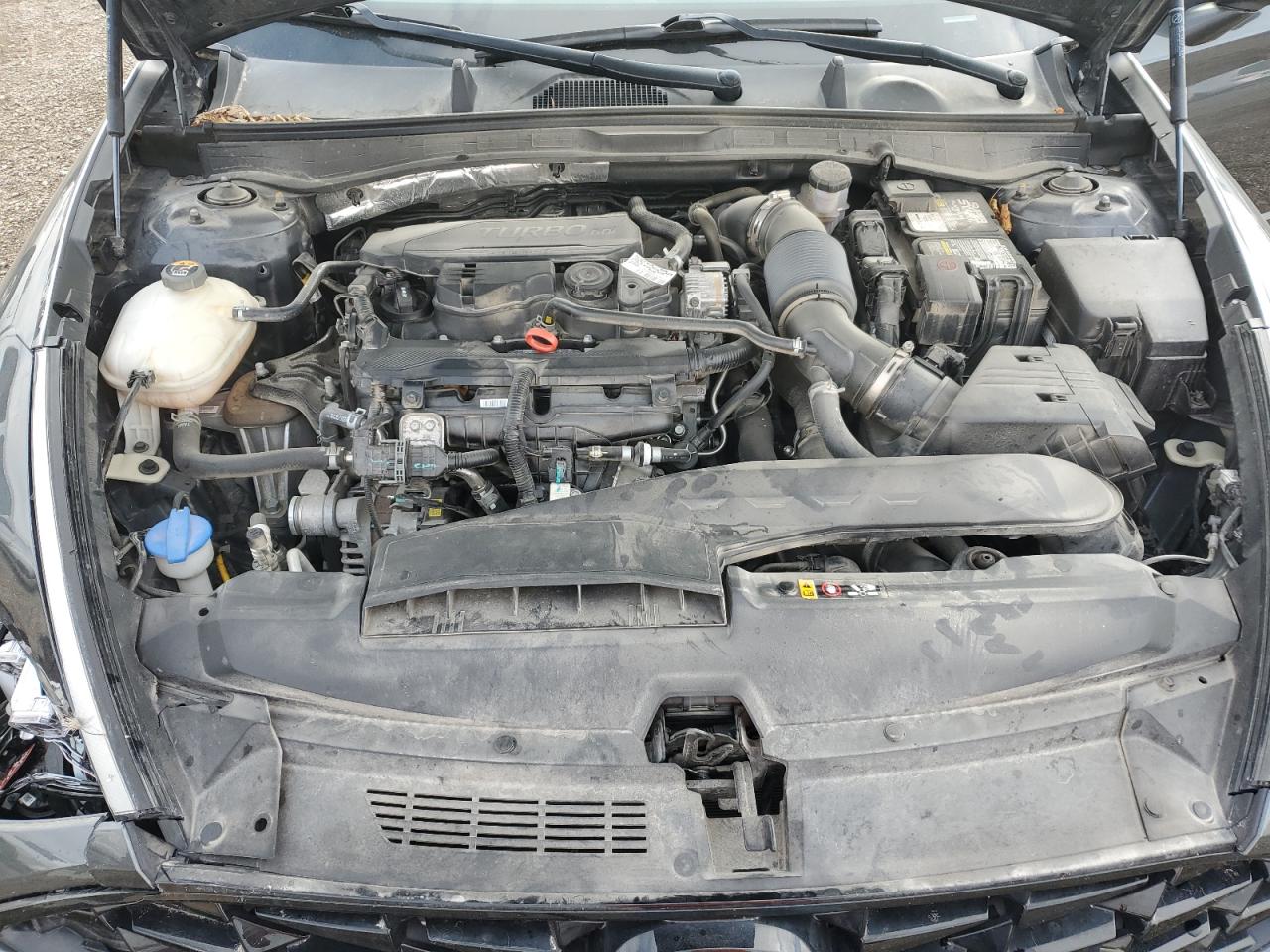 2022 Hyundai Sonata Limited VIN: KMHL34J23NA195956 Lot: 90369605