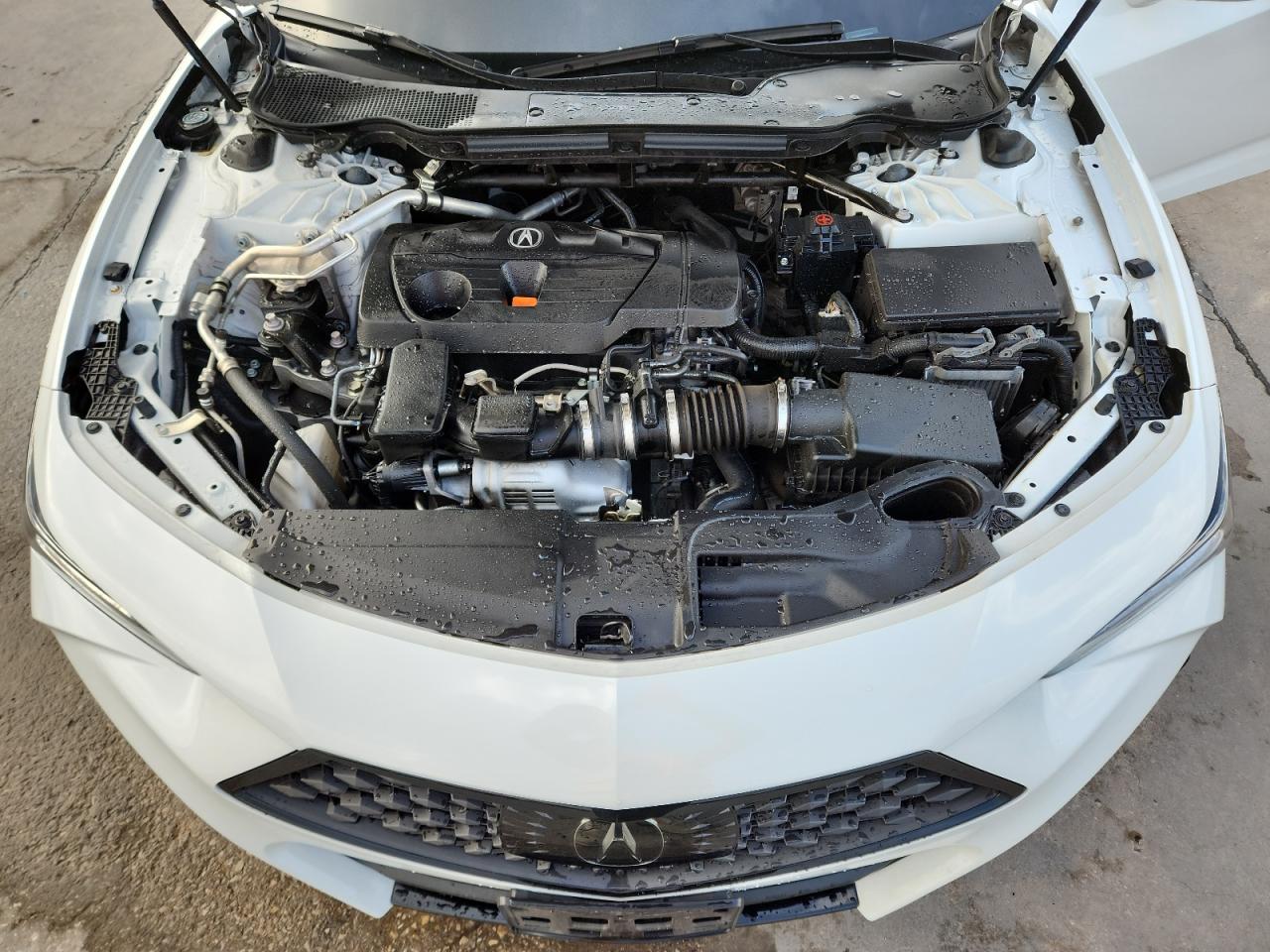 2023 Acura Tlx A-Spec VIN: 19UUB6F54PA003510 Lot: 87472425