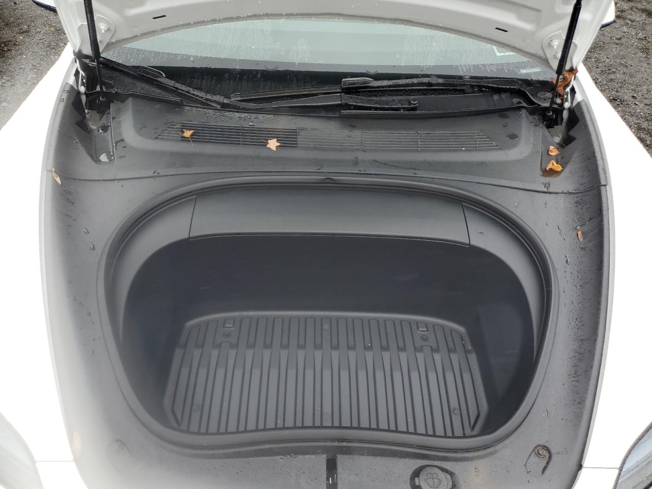 2024 Tesla Model 3 VIN: 5YJ3E1EA5RF728546 Lot: 82425375