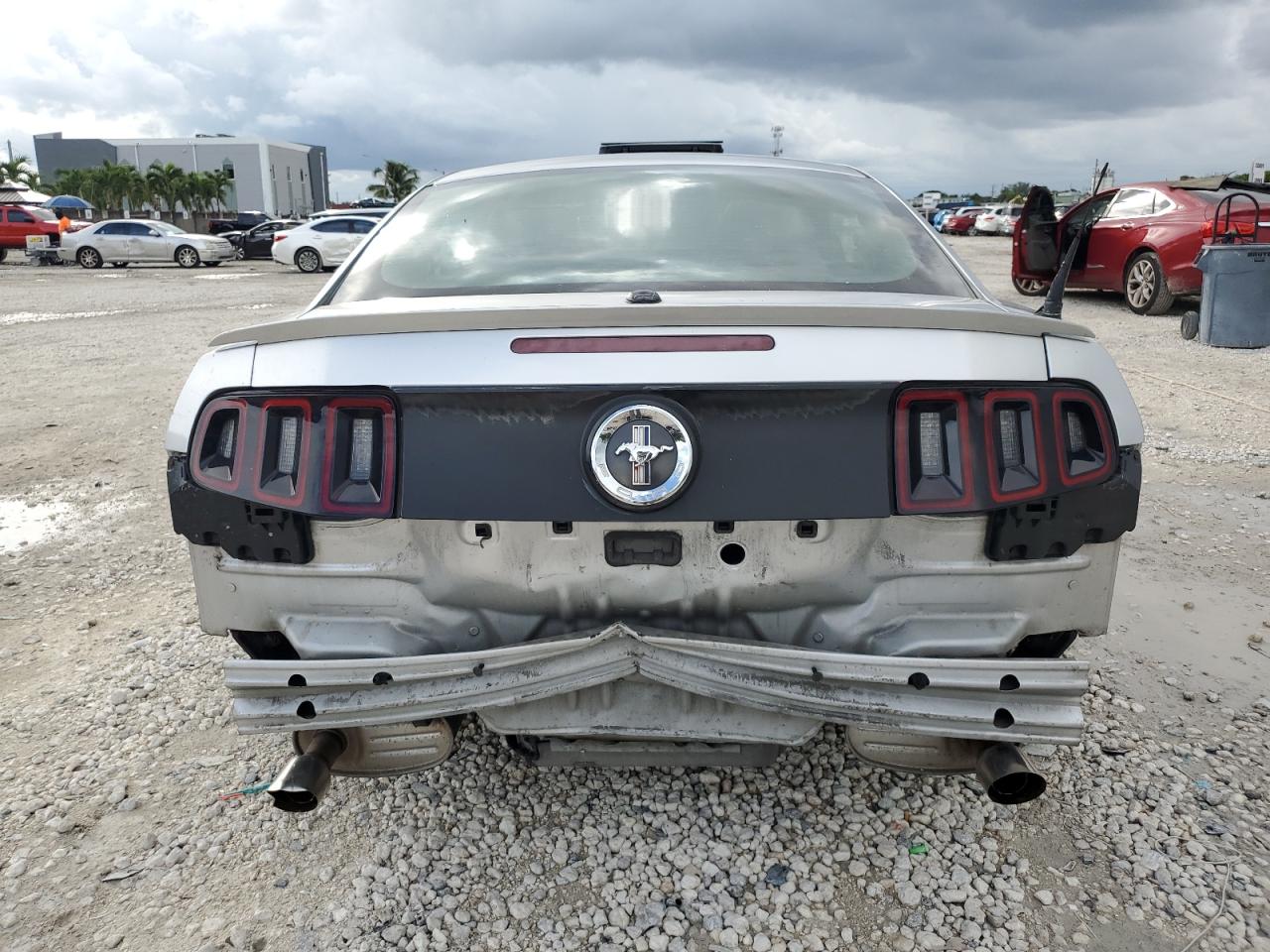 Mustang Mustang