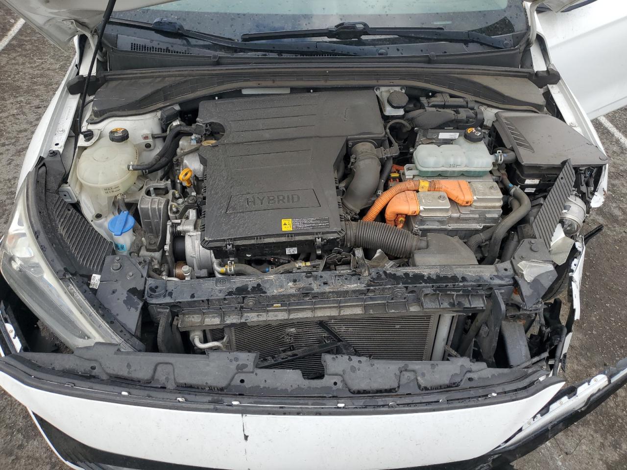 2019 Hyundai Ioniq Blue VIN: KMHC65LCXKU179623 Lot: 82324395