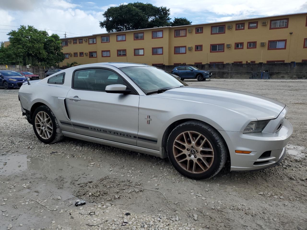 Mustang Mustang