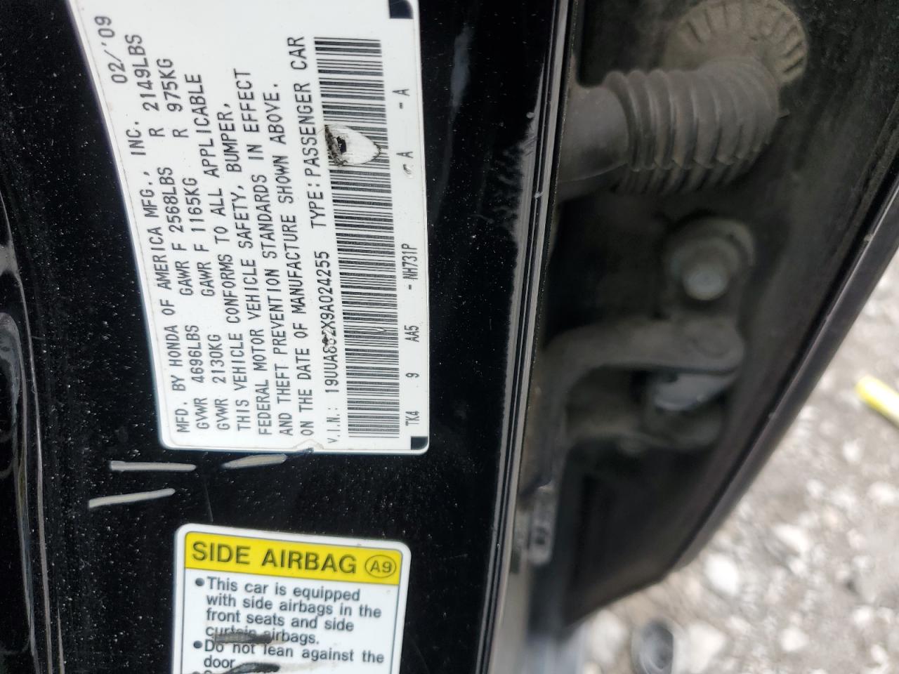 2009 Acura Tl VIN: 19UUA862X9A024255 Lot: 90343665