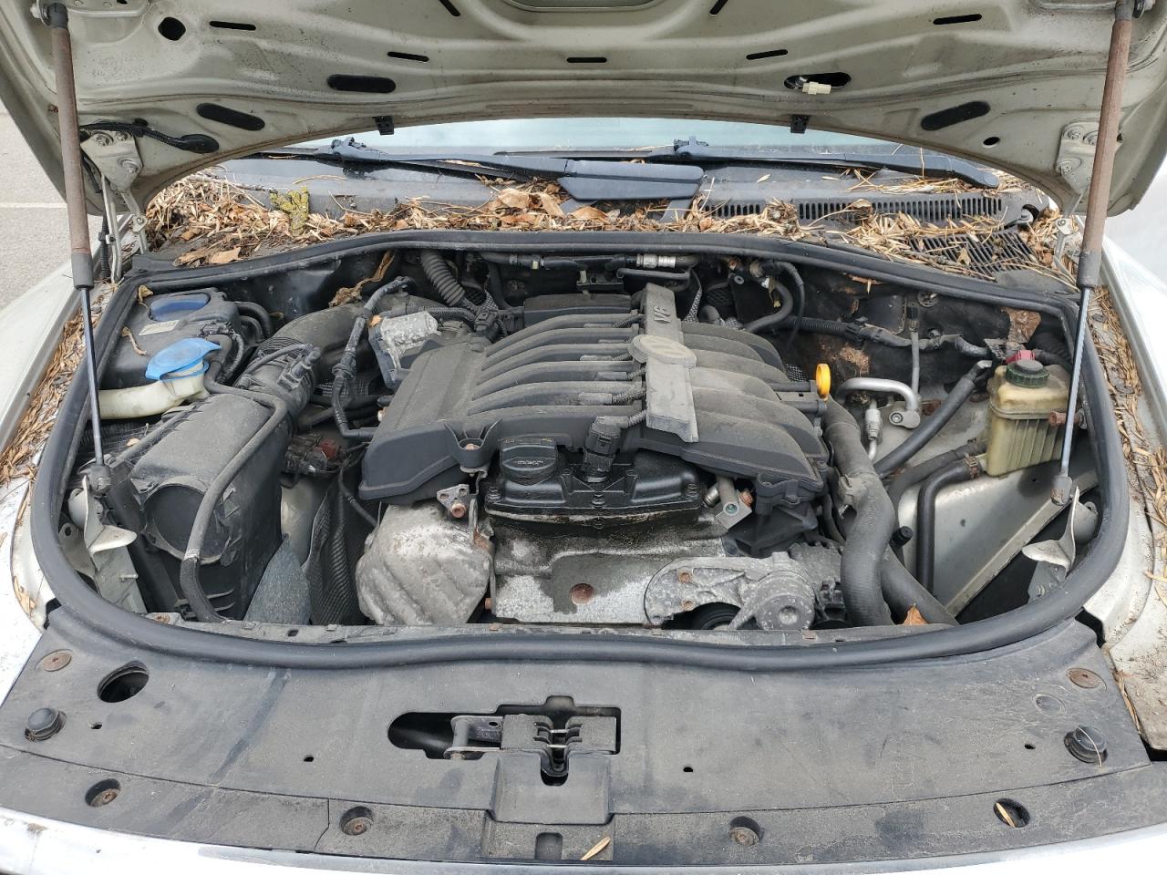 2010 Volkswagen Touareg V6 VIN: WVGBF7A93AD004028 Lot: 85649165