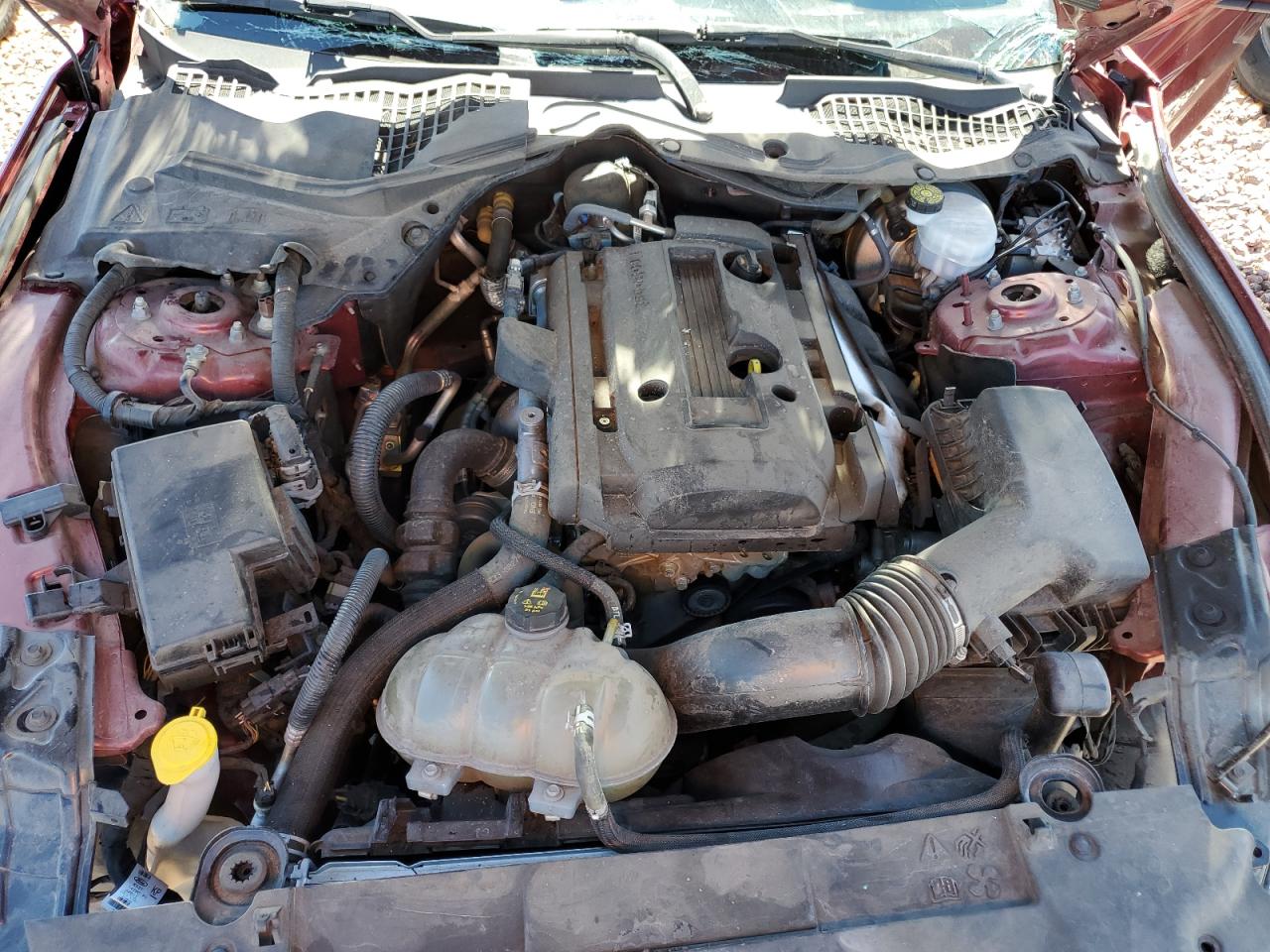 2019 Ford Mustang VIN: 1FA6P8TH4K5111622 Lot: 82535035